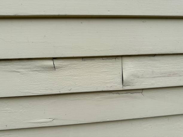 Best Vinyl Siding Installation  in North Plainfield, NJ